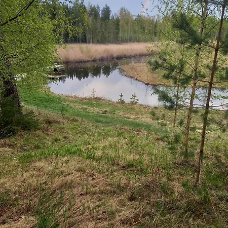 Huoneisto Helmi Kangasniemi